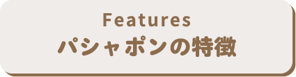 パシャポンの特徴