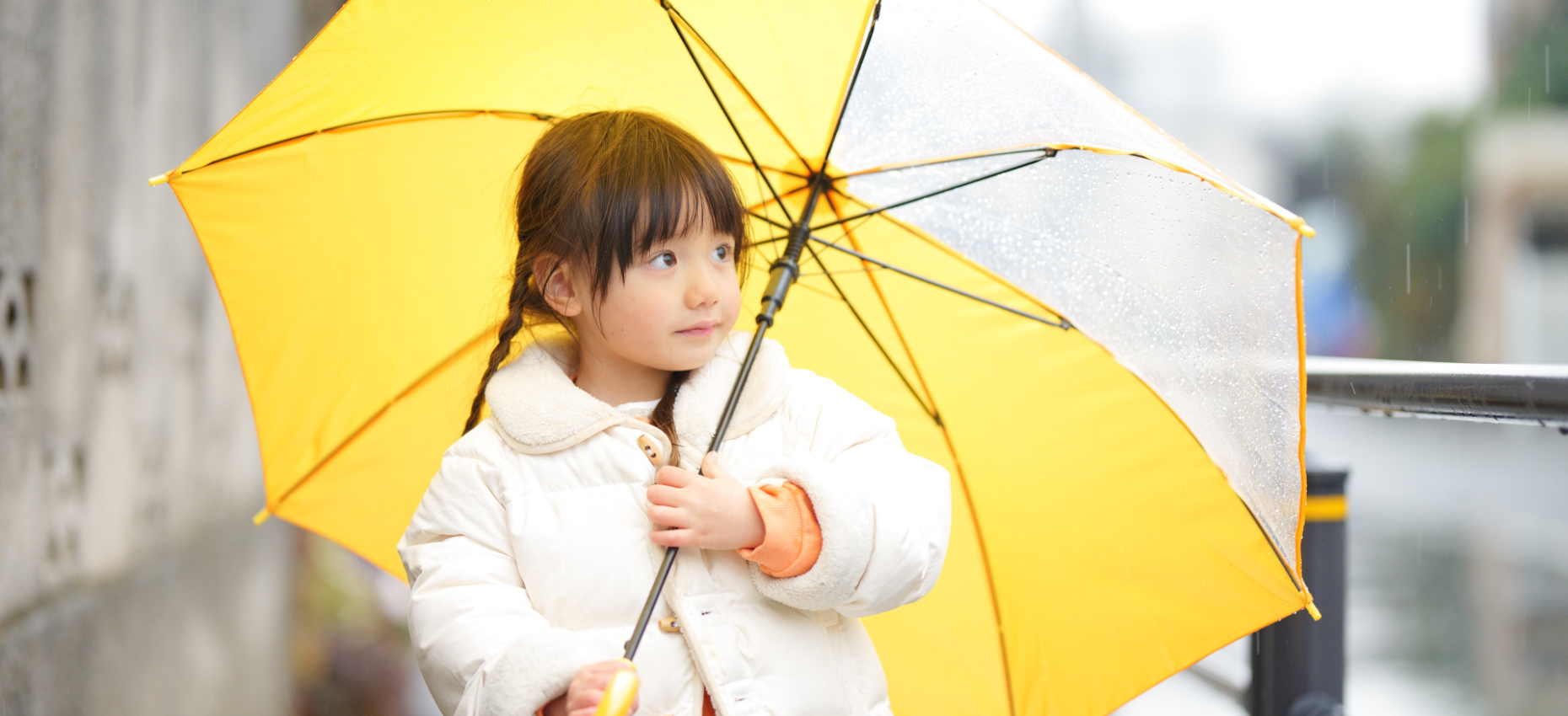 傘のネームタグの種類と特徴3選